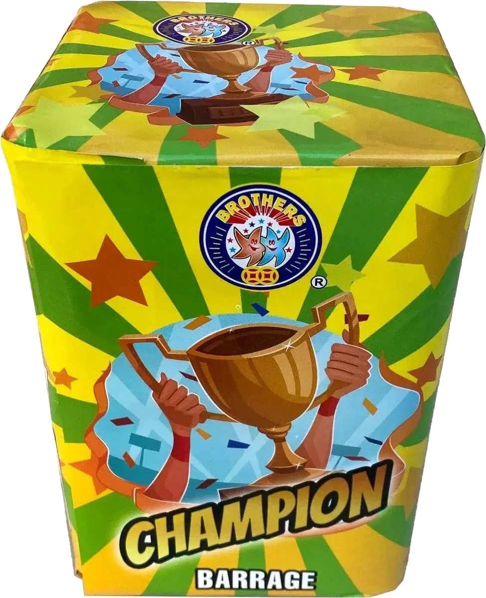 Champion 16-shot F2 garden cake firework by Brothers Pyrotechnics
