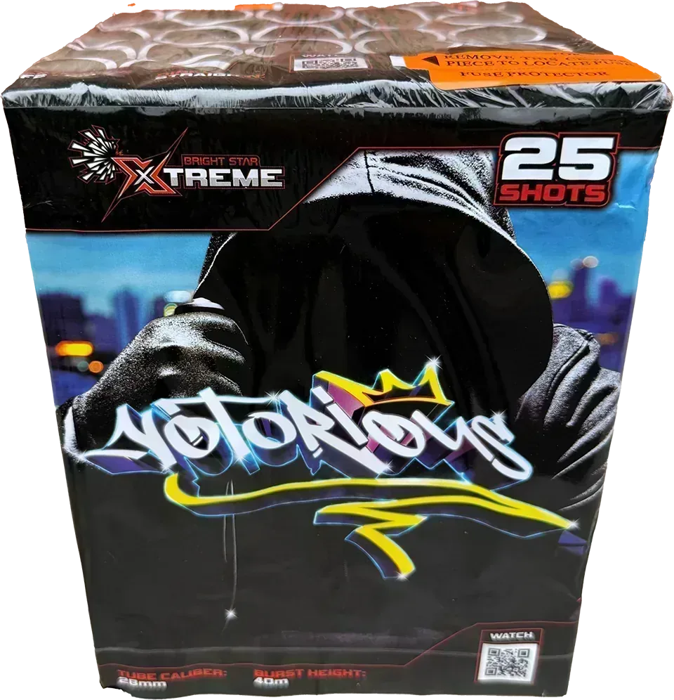 Xtreme Fireworks Notorious 25 shot cake.