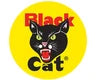 Black Cat