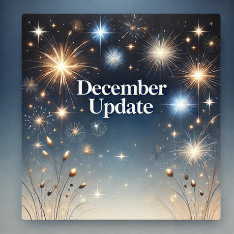 Galactic Update: December 2024
