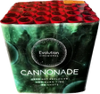 Cannonade 30-shot F3 cake firework by Evo Fireworks