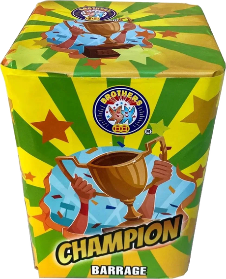 Champion 16-shot F2 garden cake firework by Brothers Pyrotechnics