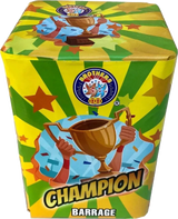 Champion 16-shot F2 garden cake firework by Brothers Pyrotechnics