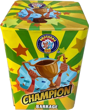 Champion 16-shot F2 garden cake firework by Brothers Pyrotechnics
