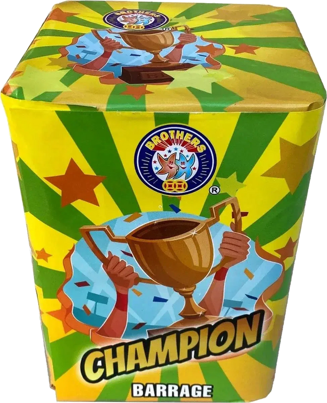 Champion 16-shot F2 garden cake firework by Brothers Pyrotechnics