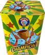 Champion 16-shot F2 garden cake firework by Brothers Pyrotechnics