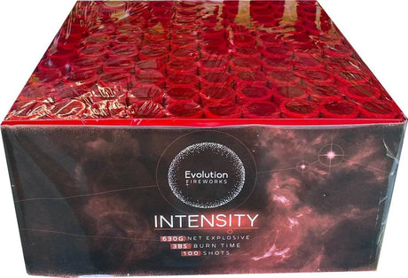 Intensity 100-shot F3 cake firework by Evo Fireworks