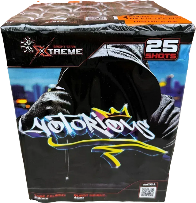 Xtreme Fireworks Notorious 25 shot cake.