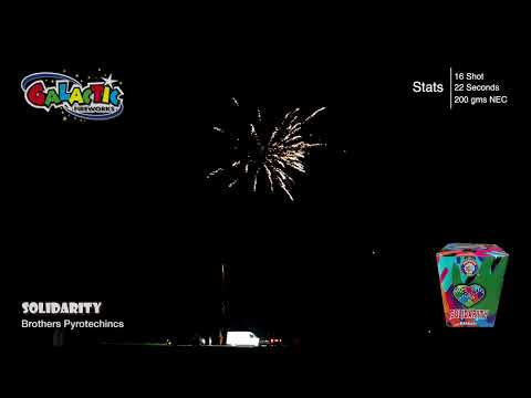 Solidarity firework exploding with massive gold brocade crown effects in the night sky.