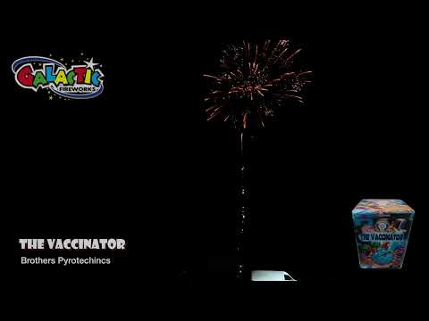 The Vaccinator firework displaying gold glittering palms and coloured dahlias.