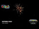 Butterfly Bugs firework demo by Celtic