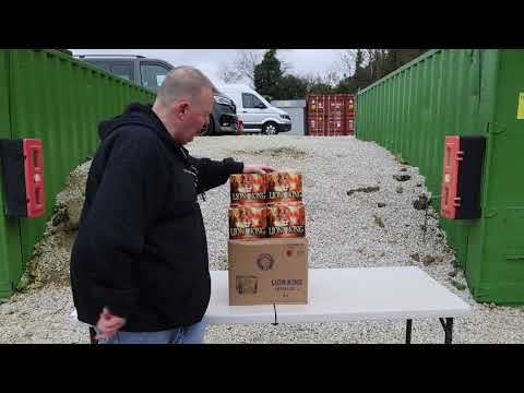 Lion King firework demo by Brothers Pyrotechnics