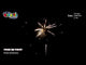 Stick Or Twist compound firework demo by Primed Pyrotechnics