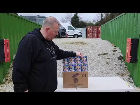 Immortal Jellyfish firework demonstration video