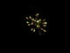 Stingray firework demo by Cube Fireworks