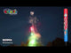 Bazinga 288-shot Roman candle demo by Brothers Pyrotechnics
