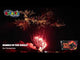 Full 96-second display of Rumble In The Jungle compound firework showing screaming comets and gold finale.