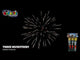 Performance video of The Three Musketeers rockets.