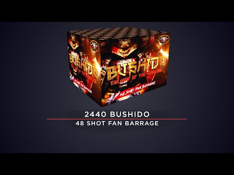 Bushido firework demo by Bright Star