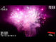 Sky Fury firework, night firing demo