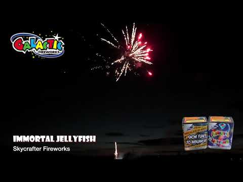Immortal Jellyfish