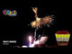 Crazy Horses firework demo by Pyroworx