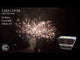 Take Cover firework exploding in a wide fanned volley of crackling palms.
