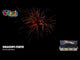 Dragons Curse firework demo by Evolution Fireworks
