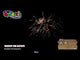 Shoot Em Down firework, firing demo