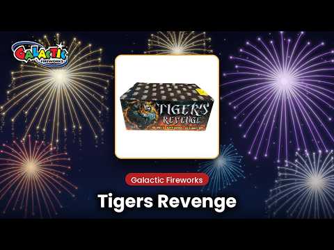 Tigers Revenge firework, firing demo