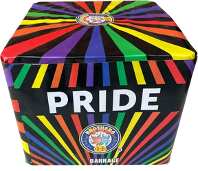Pride 49 shot firework cake by Brothers Pyrotechnics with gold mine effects.