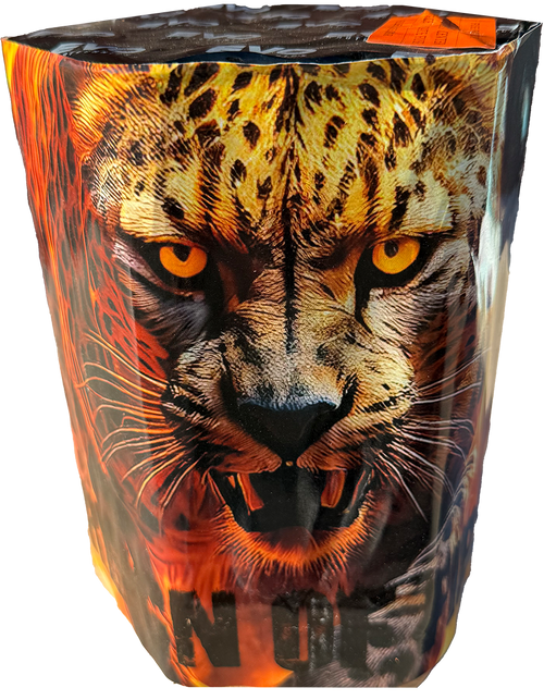 Reign of Fire 19 shot cake by Evolution Fireworks firing crackling willows and blue stars.