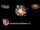 Pink firework bursts in the night sky for a baby girl gender reveal.