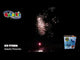Ice Storm firework, firing demo