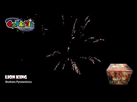 Firing demo of Lion King by Brothers Pyrotechnics showing golden brocade effects.