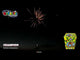 Golden willow firework burst from Champion Cake by Brothers Pyrotechnics, showcasing vibrant colors and crackling effects in the night sky.