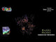 Razzle Dazzle firework, firing demo