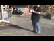 Fun Snaps firework, firing demo