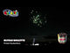 Full demonstration of Russian Roulette 19 shot cake by Primed Pyrotechnics.