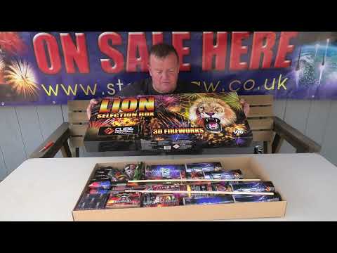 Lion Box