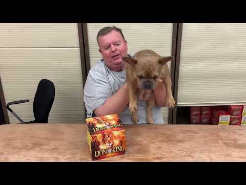 Nigel Turver reviews the Lion King garden firework.
