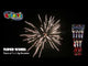 fireworks light up in the night sky