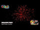 Dragons Fury firework, firing demo