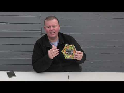 Golden Wheel firework — product overview and firing details