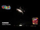 Pandemic firework, firing demo