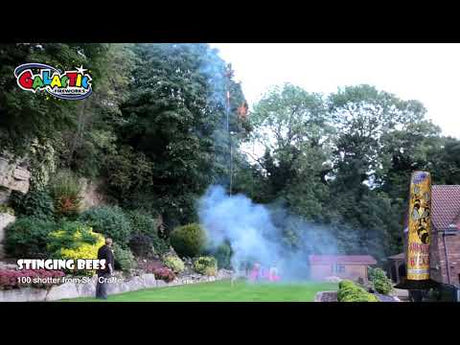 Stinging Bees firework, firing demo