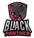 Black Panther
